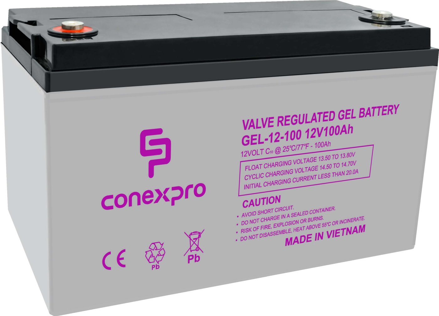 Conexpro battery gel, 12V, 100Ah, lifetime 10-12 years, M8, Deep cycle