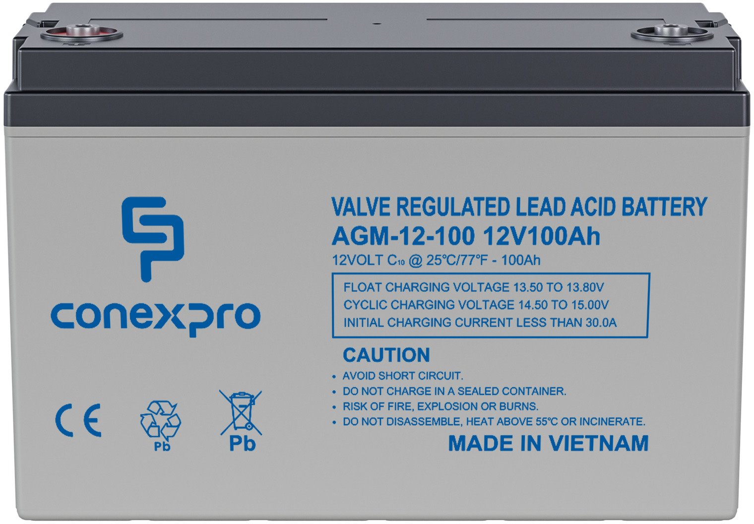 Conexpro batery AGM 12V, 100Ah, lifetime 10 years, M8