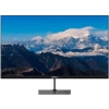 Monitory