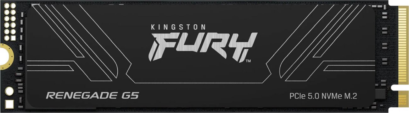Kingston SSD FURY Renegade G5, M.2, 4TB