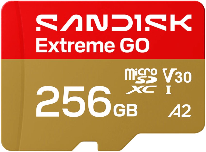 SanDisk Micro SDXC Extreme GO 256GB