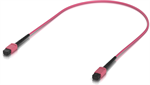 Ubiquiti OM4 MPO-12 Multimode optický patch cord, 0.5m, 10 pack